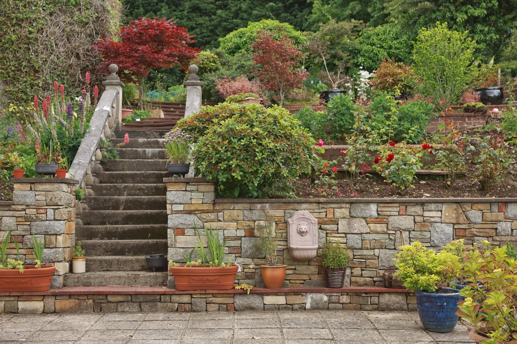 Beautifully landscaped garden with terraced stone retaining walls and stairs, showcasing expert masonry work in a multi-level outdoor space